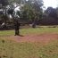 DSC01965